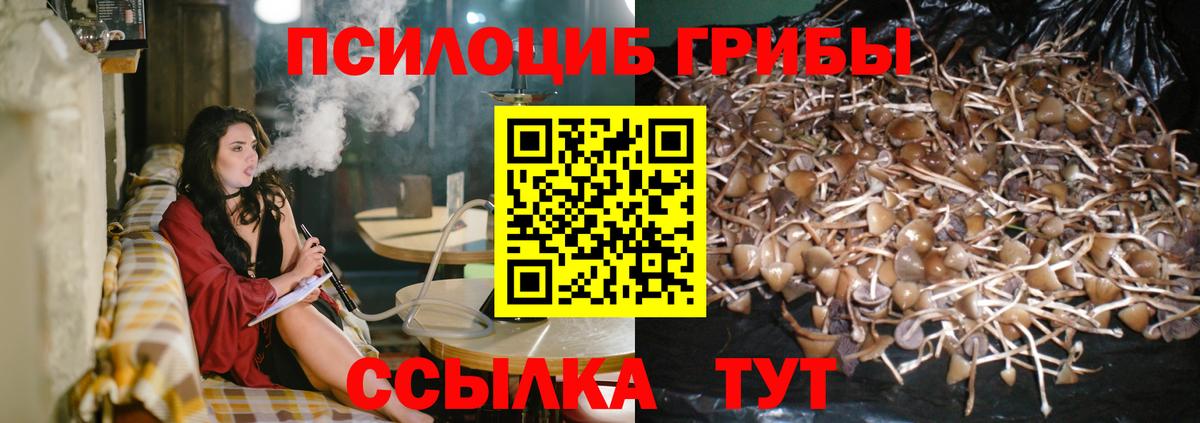 Псилоцибиновые грибы Magic Shrooms Ковров