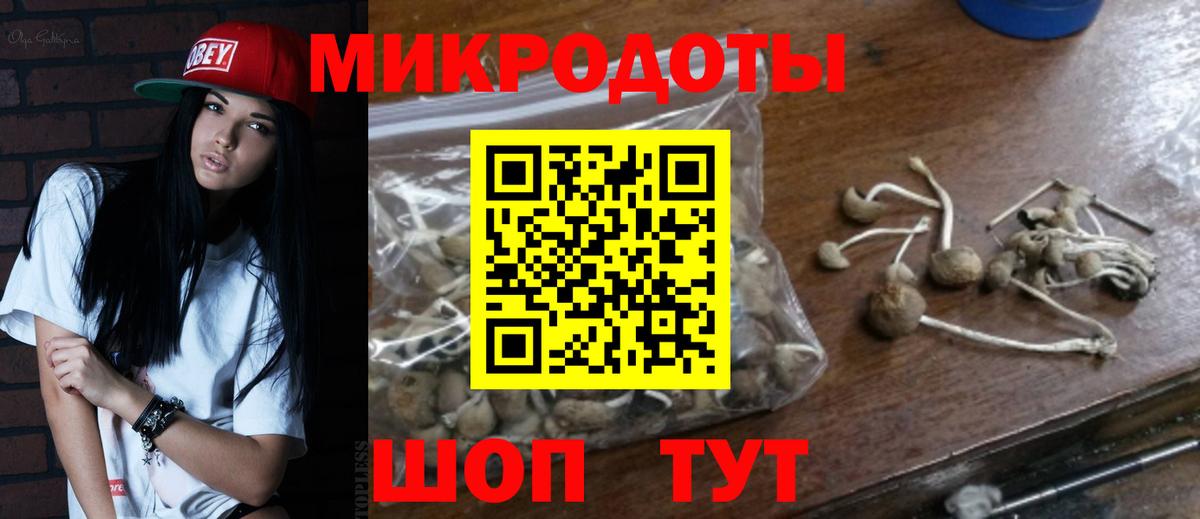 Ковров  Галлюциногенные грибы мицелий  Галлюциногенные грибы GOLDEN TEACHER  Вход с VPN 
