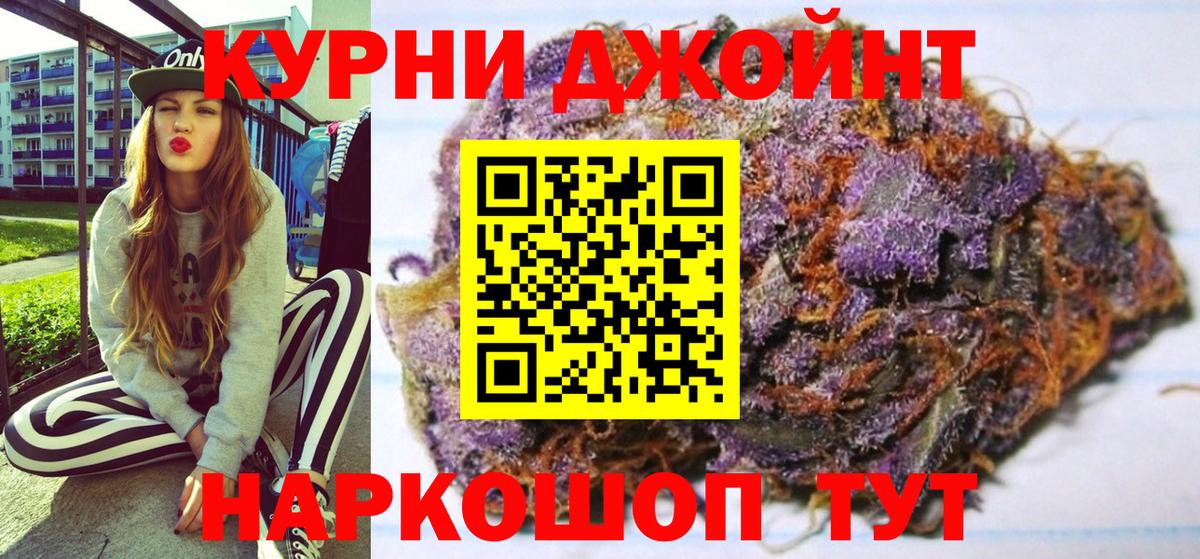 Каннабис сатива Ковров